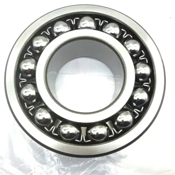 1204 NSK Self-Aligning Ball Bearing