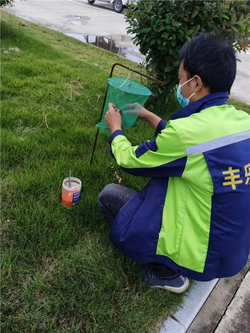 鄭州滅蟑螂來跟大家說說工廠里的蟑螂怎么消滅？