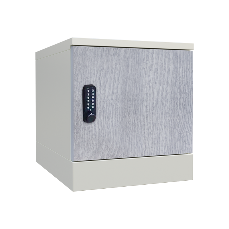 Assembly cabinet with password lock HPZ65
