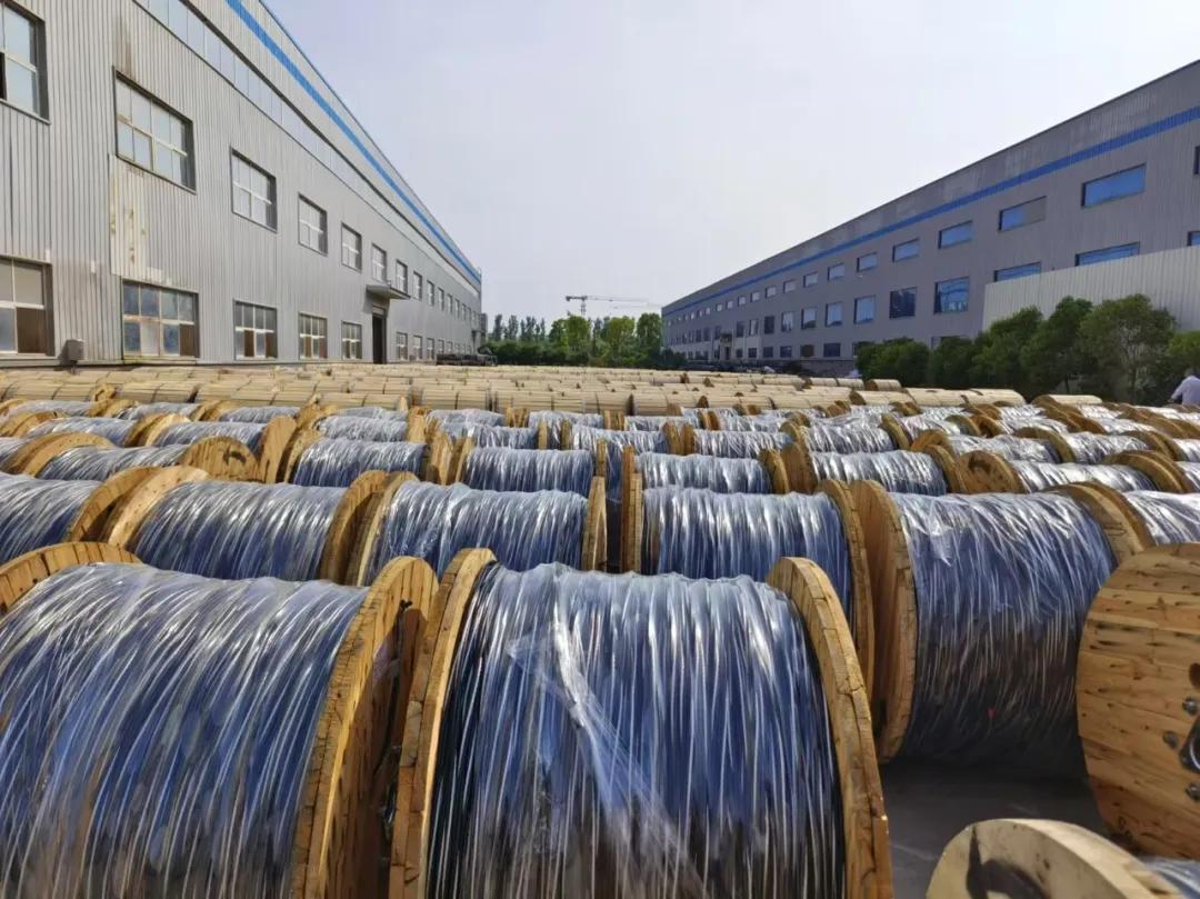 乘風(fēng)2025——金水電纜集團(tuán)全球供應(yīng)鏈“開(kāi)門(mén)紅”交付再提速！