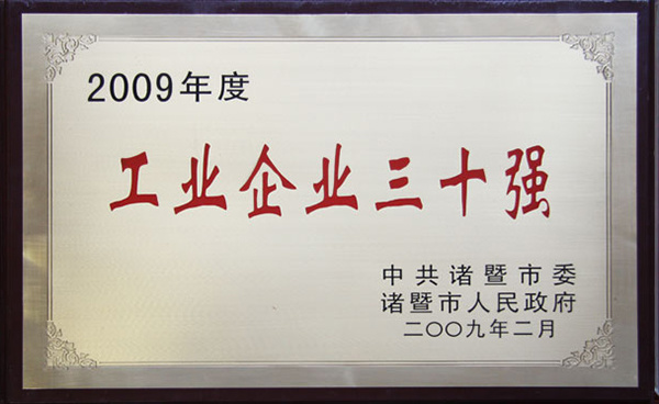 2009年度工業(yè)企業(yè)三十強