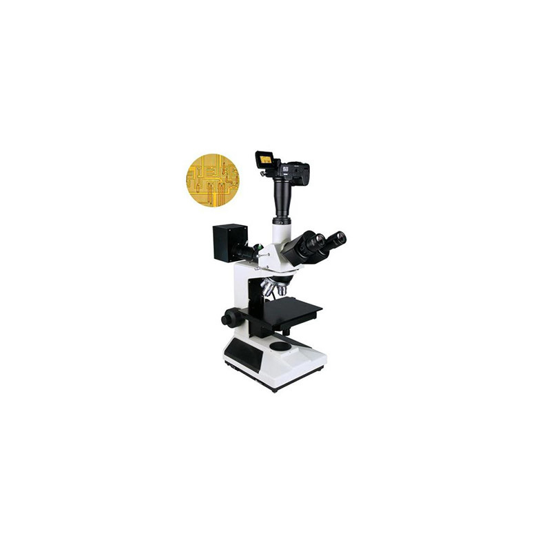 三目正置金相显微镜BMM-30