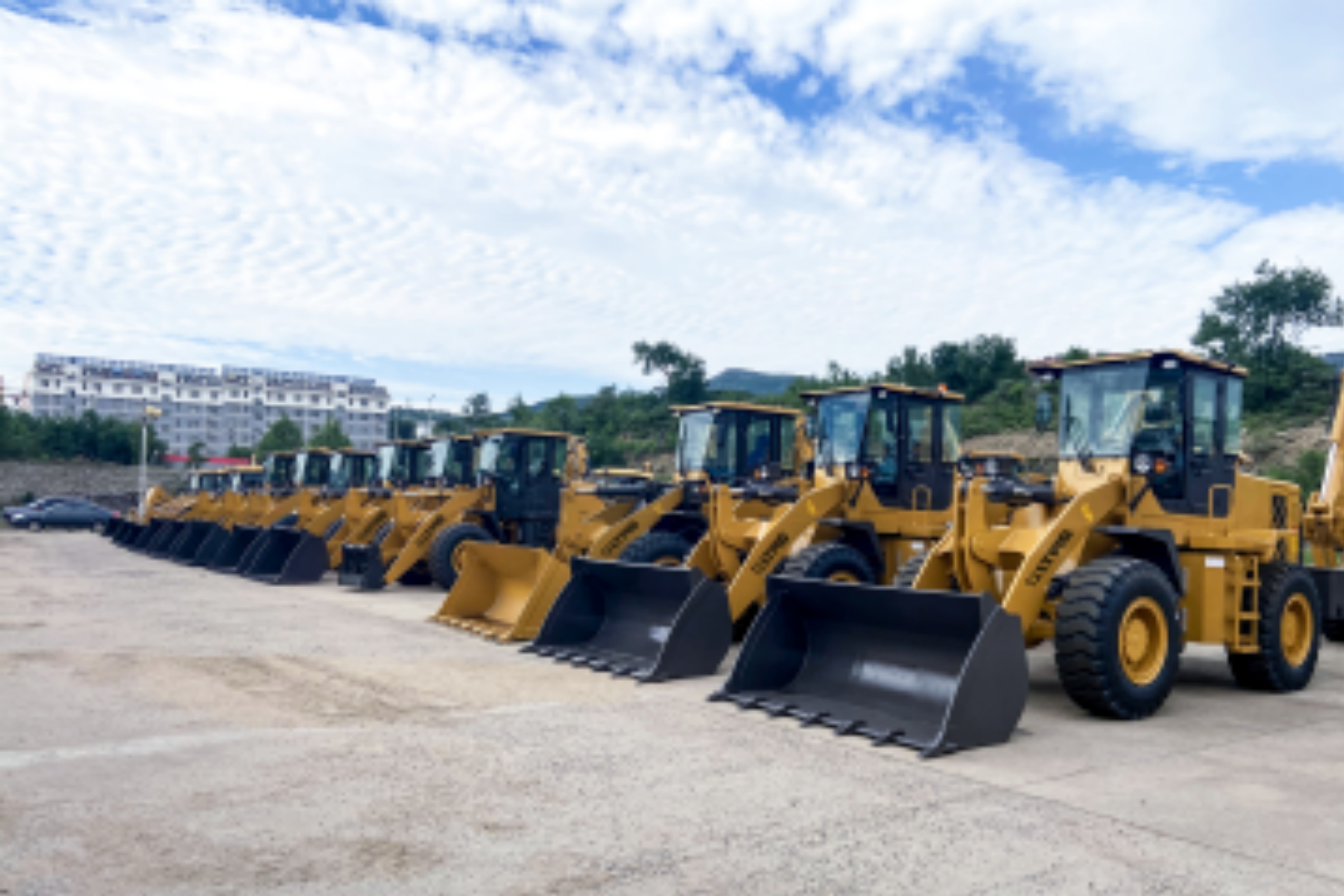 LTMG Machinery (Weifang) Co.Ltd.