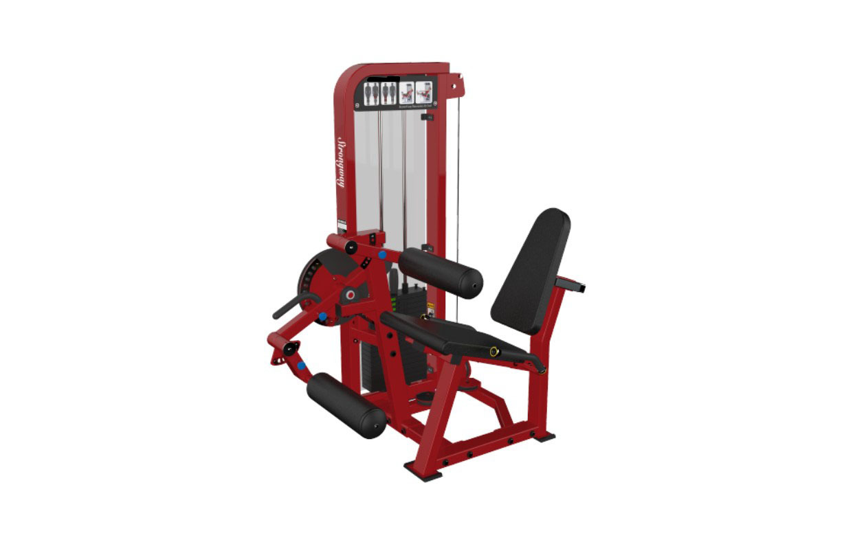 Guide to Leg Training for Novice with customized Seated Leg Extension & Curl from China manufacturer