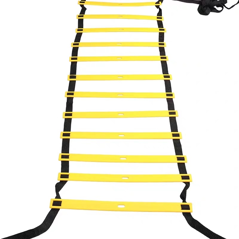 D - 027  Speed Ladder