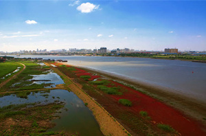 大辽河流域环境诊断