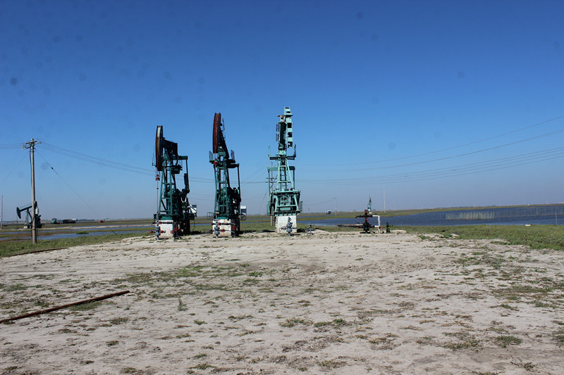 中国石油吉林油田环境风险评估
