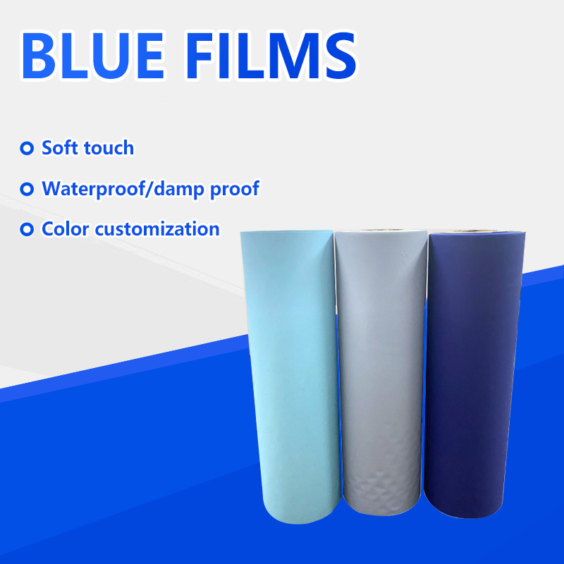 BLUE FILMS