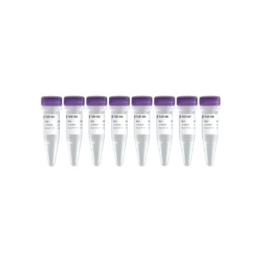 パーツ illumina Illumina转座酶UDI接头（管式/板式）_转座酶建库接头_产品中心_