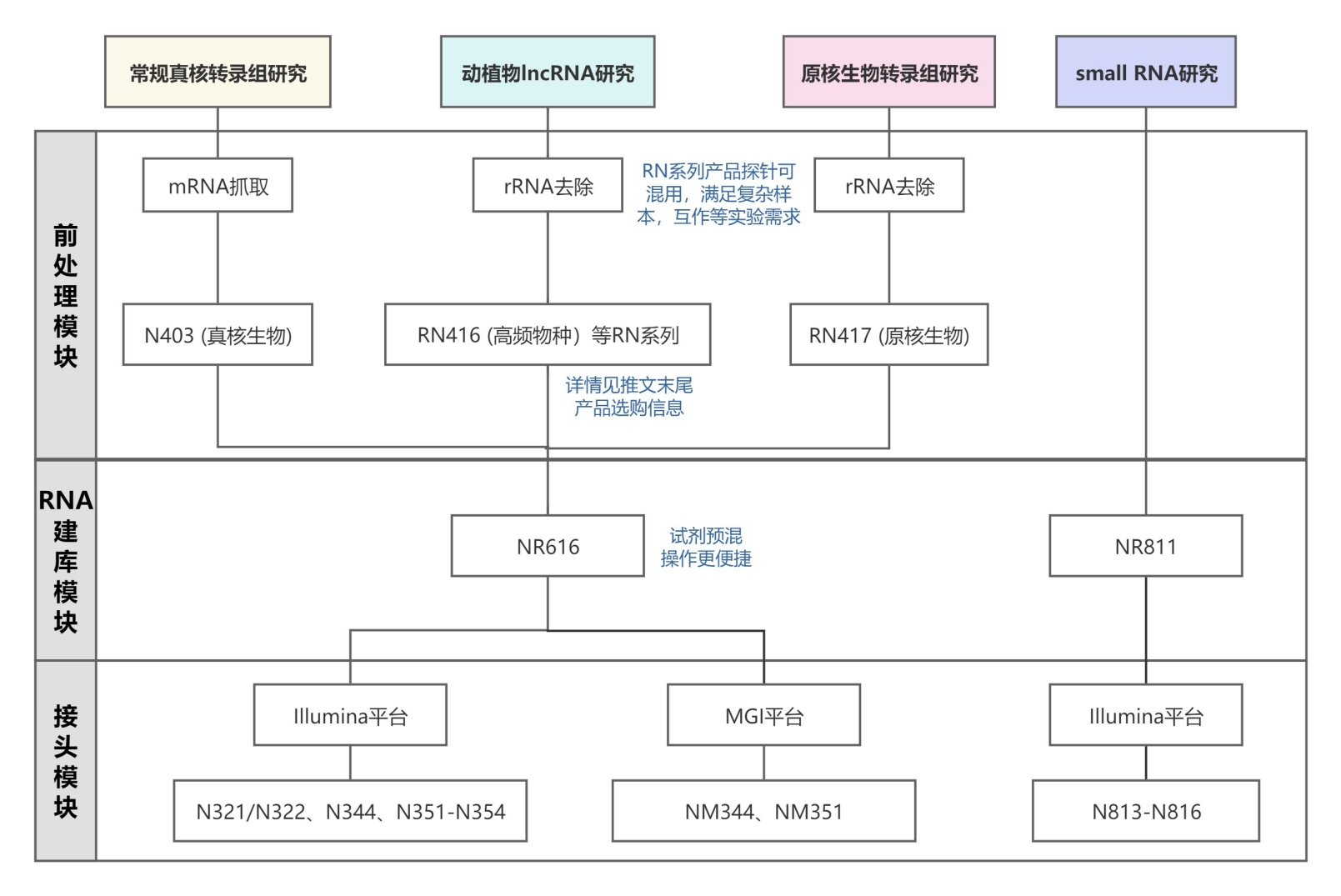 语法化与语法研究 国家哲学社会科学文献中心