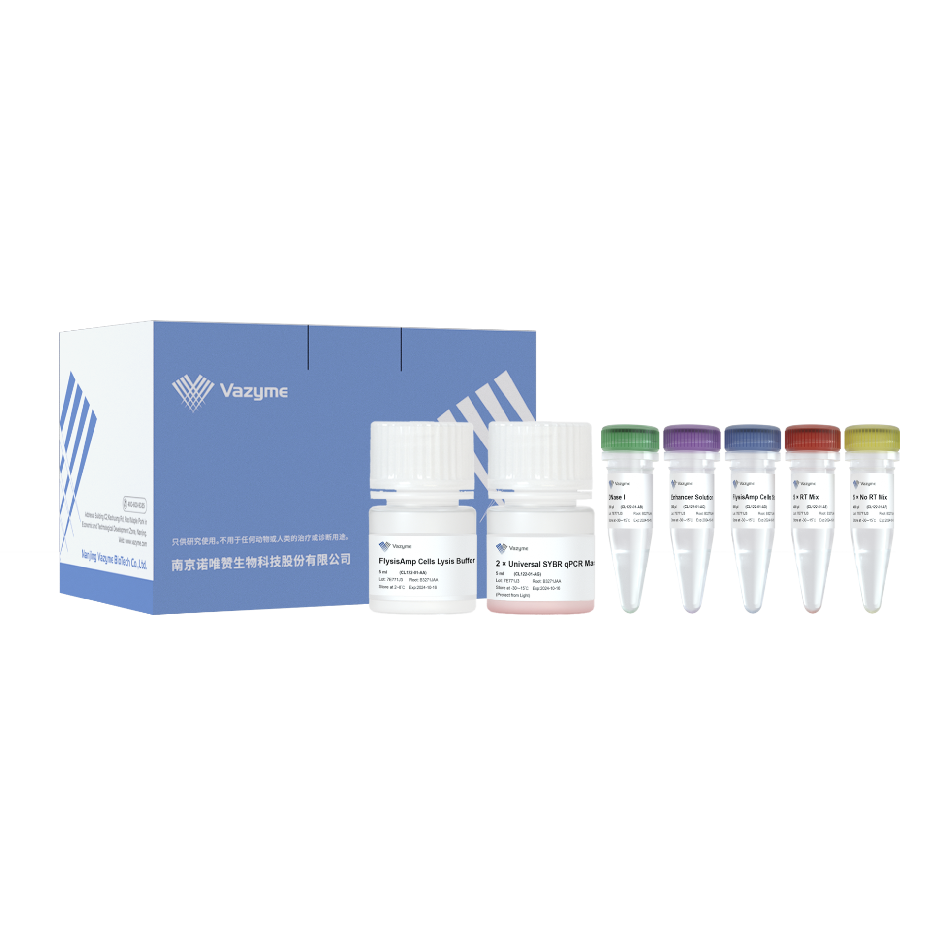 FlysisAmp Cells-to-CT 2-Step SYBR Green Kit_细胞直裂RT-qPCR_产品中心_南京诺唯赞生物科技 ...