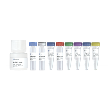 Hyperactive Universal CUT&Tag Assay Kit for Illumina
