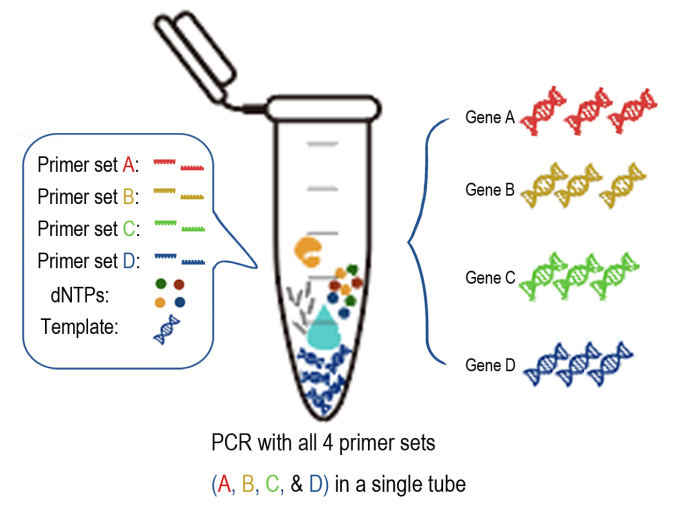 PCR聚合酶链式反应(Polymerase Chain Reaction,PCR)PCR