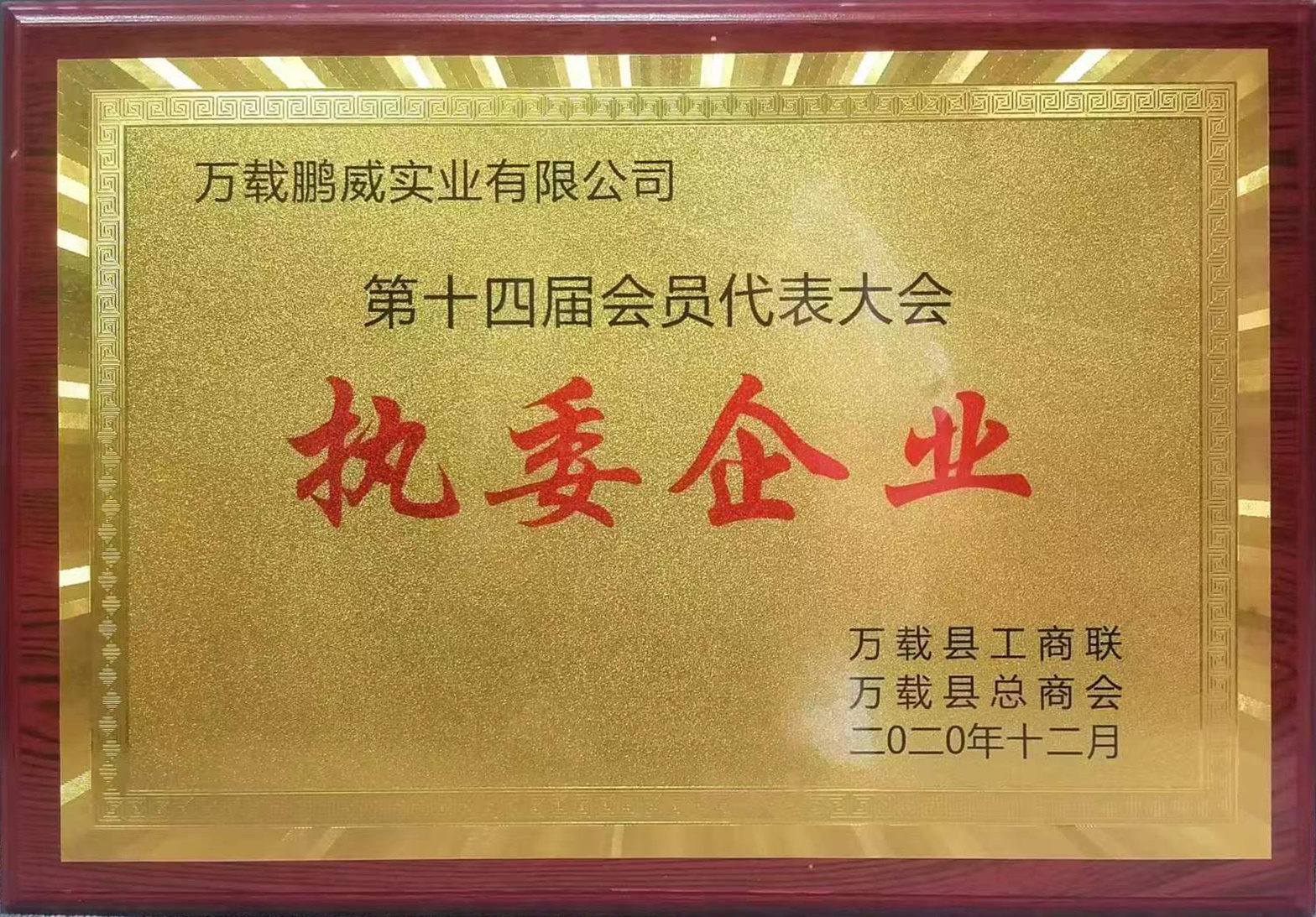 執(zhí)委企業(yè)