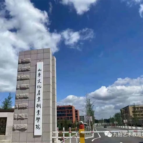 山东文化艺术职业学院