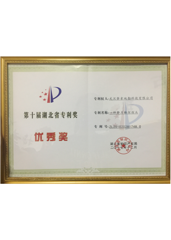 The 10th Patent Excellence Award of Hubei Province