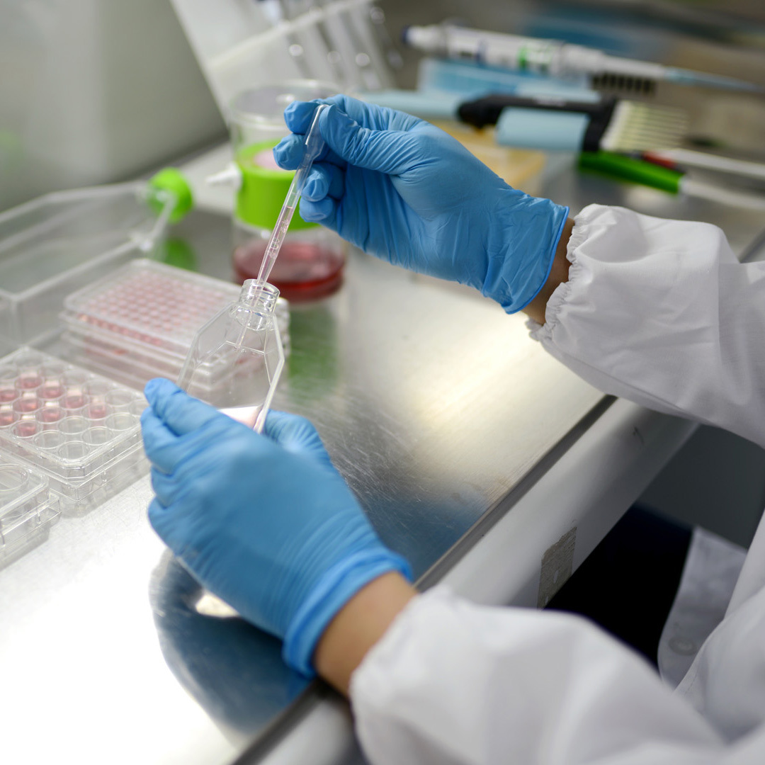 Cell culture series