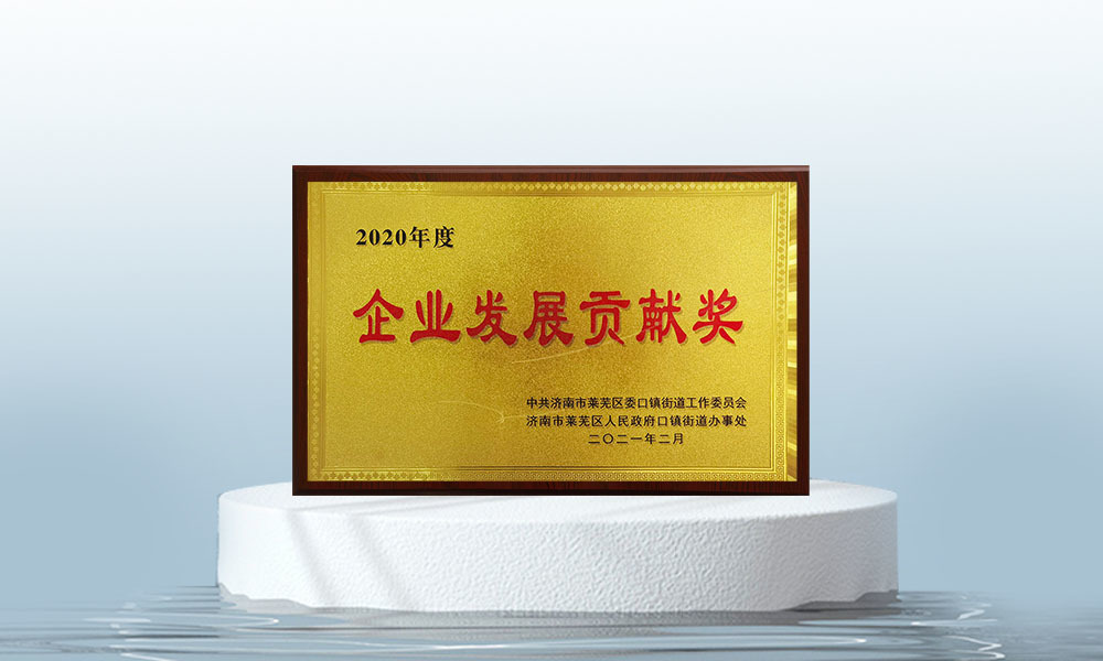企業(yè)發(fā)展貢獻(xiàn)獎(jiǎng)