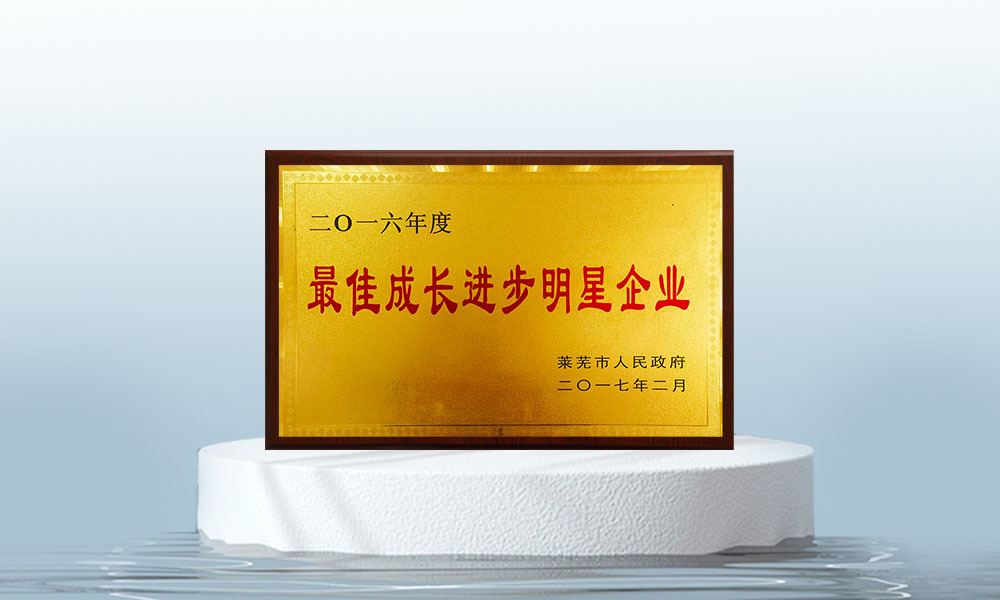 最佳成長(zhǎng)進(jìn)步明星企業(yè)