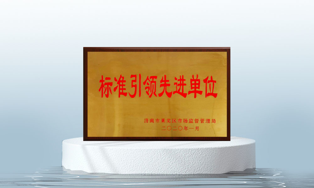 標(biāo)準(zhǔn)引領(lǐng)先進(jìn)單位