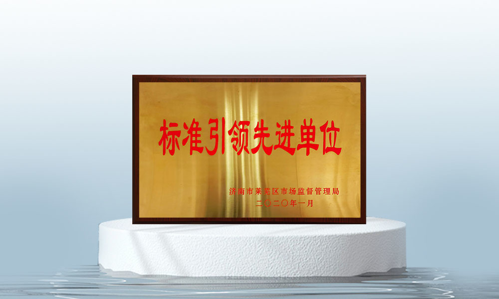 標(biāo)準(zhǔn)引領(lǐng)先進(jìn)單位