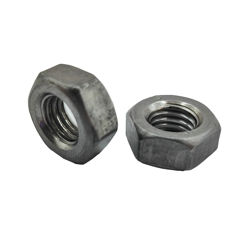 Hex Nut