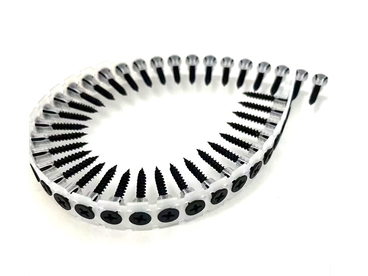 Collated screw