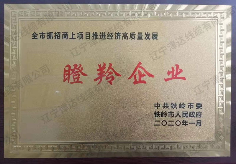 瞪羚企業(yè)證書