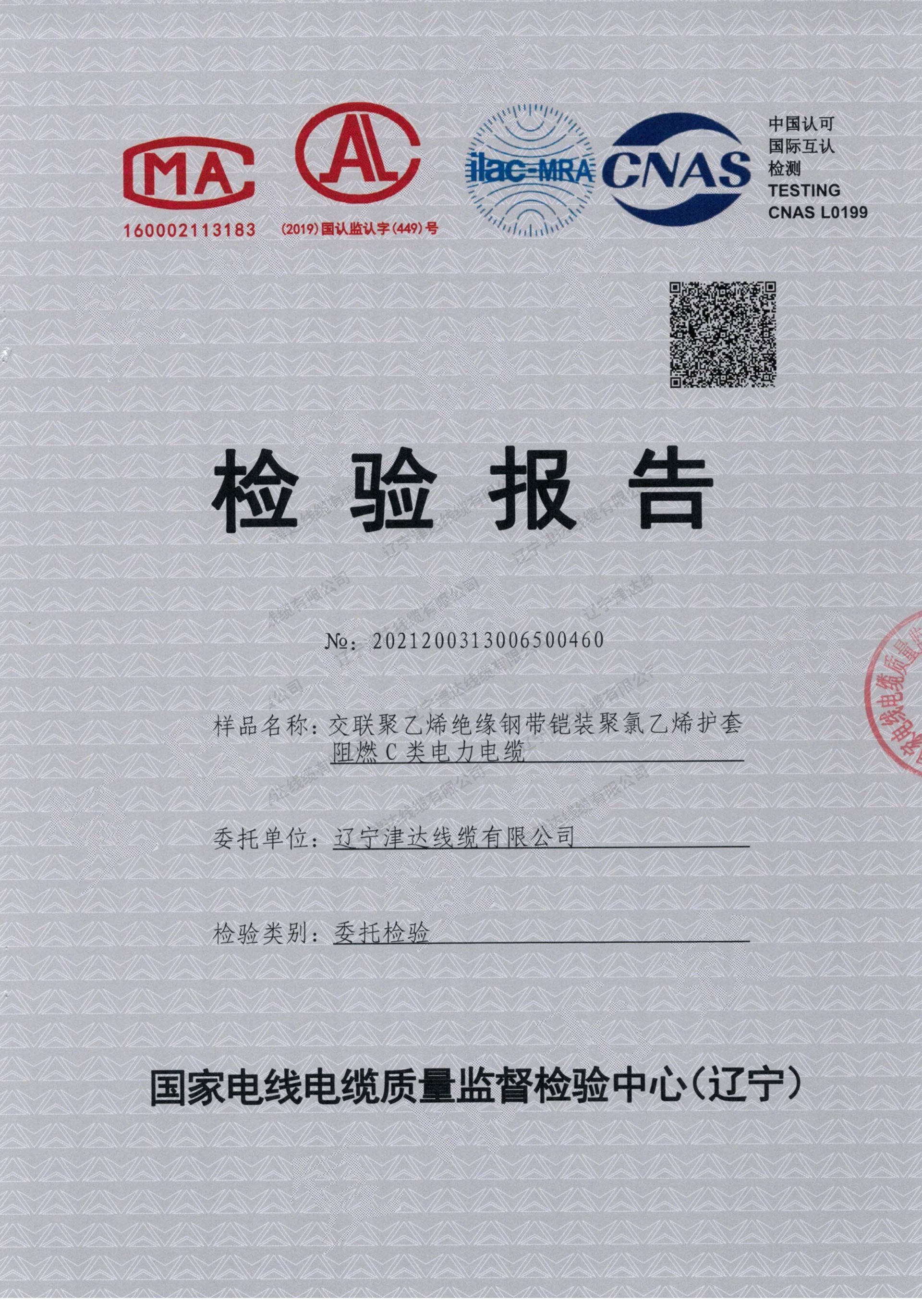 檢驗(yàn)報(bào)告