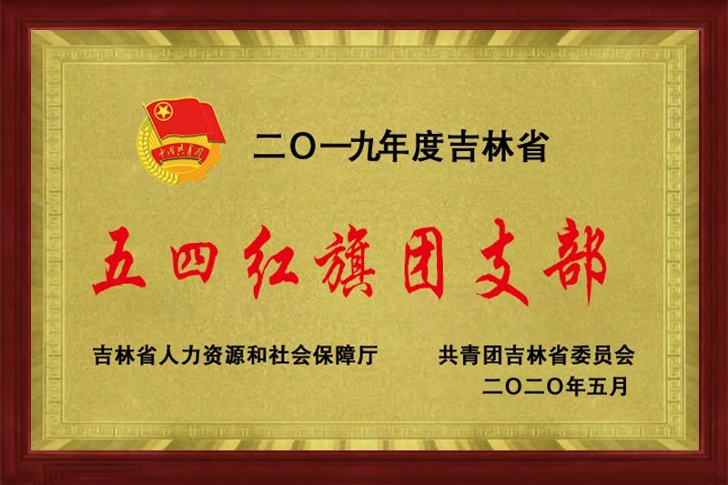 2019年度吉林省五四紅旗團(tuán)支部