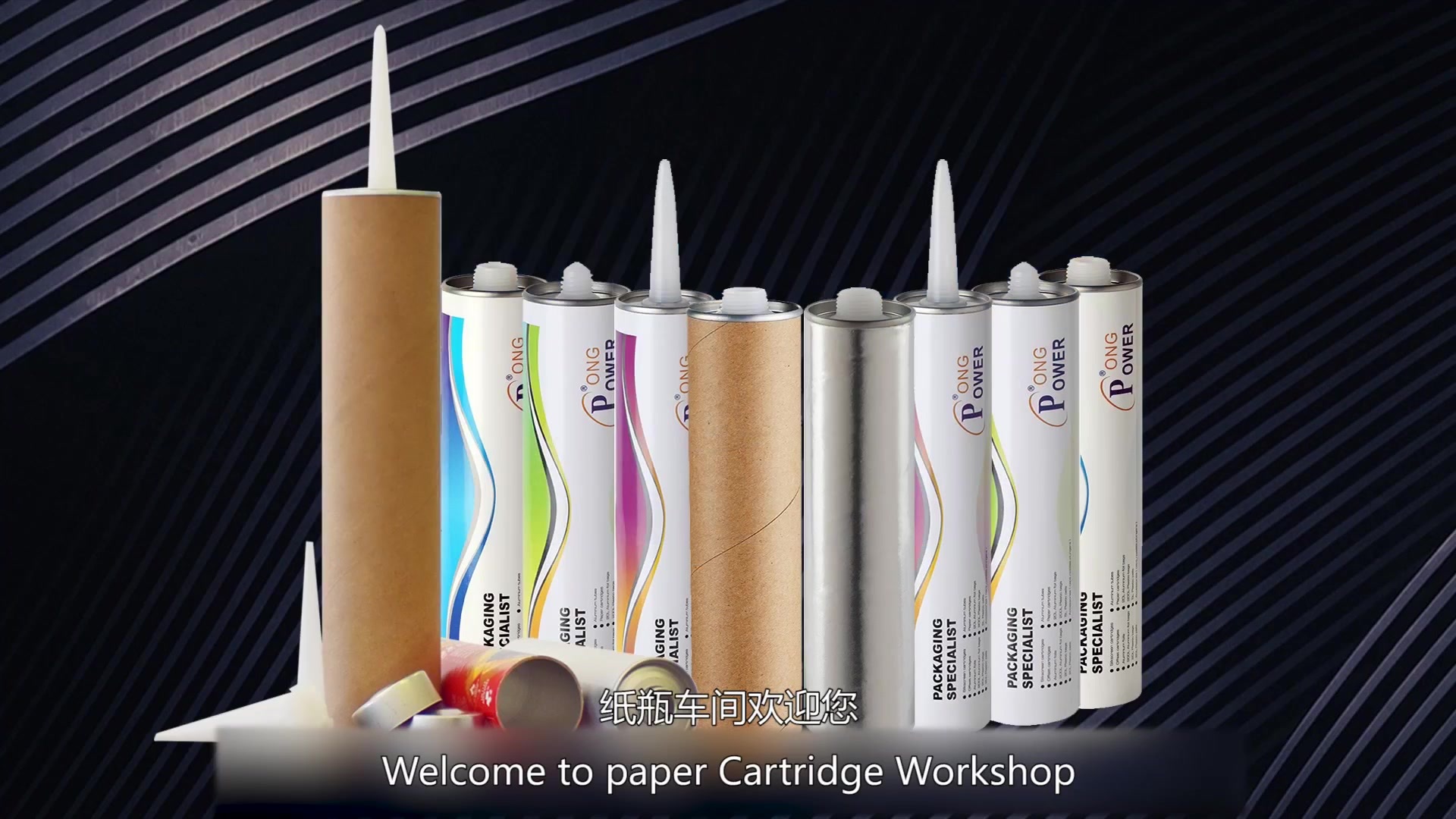 Guangdong Longpower Packaging Industry Co.,Ltd. Guangdong Longpower Packaging Industry Co.,Ltd.
