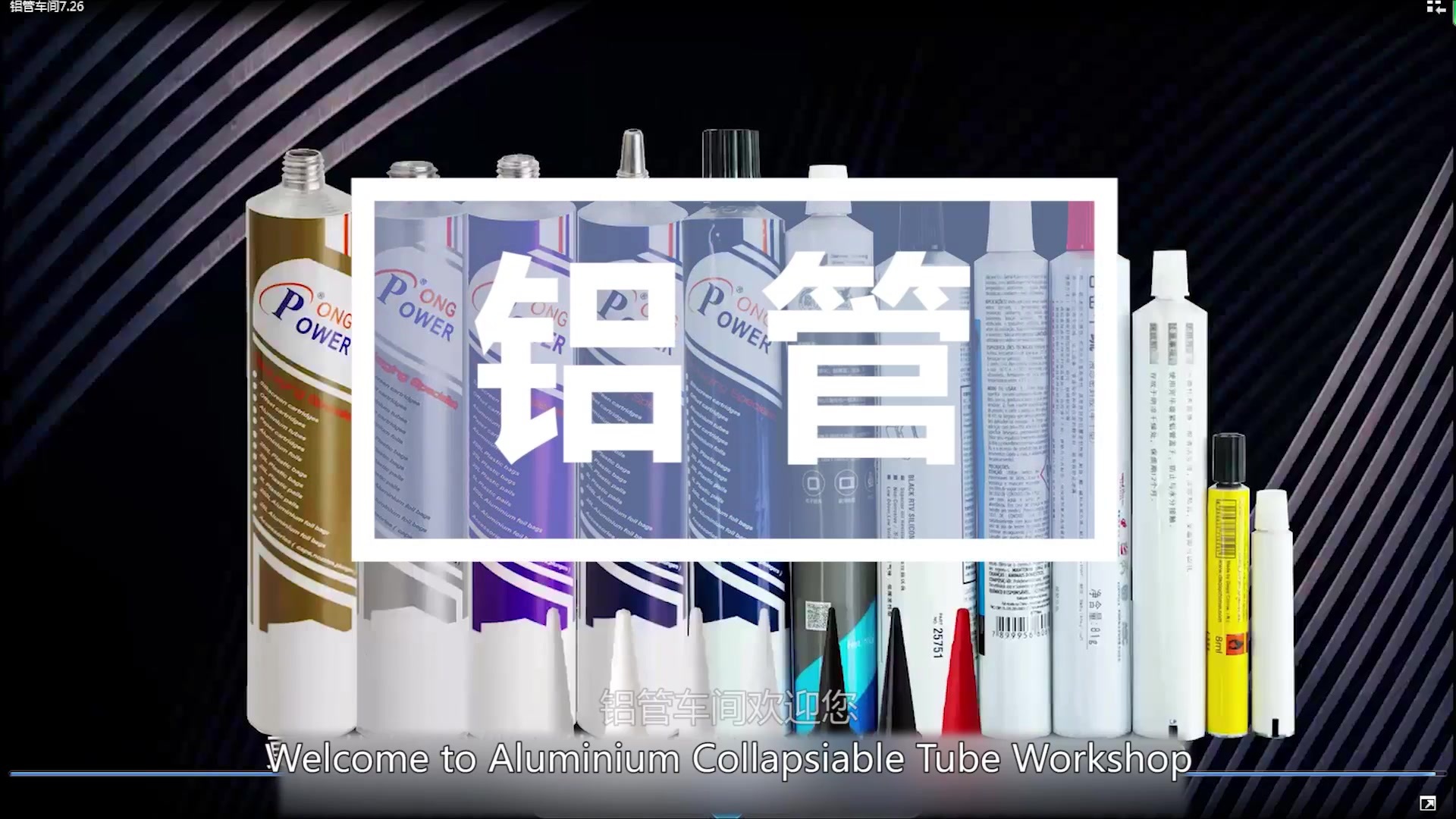 Guangdong Longpower Packaging Industry Co.,Ltd. Guangdong Longpower Packaging Industry Co.,Ltd.