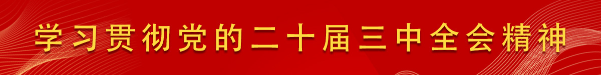 学习贯彻党的二十届三中全会精神