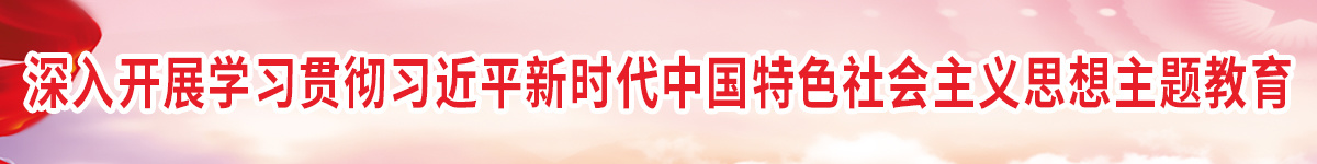 深入开展学习贯彻习近平新时代中国特色社会思想主题教育