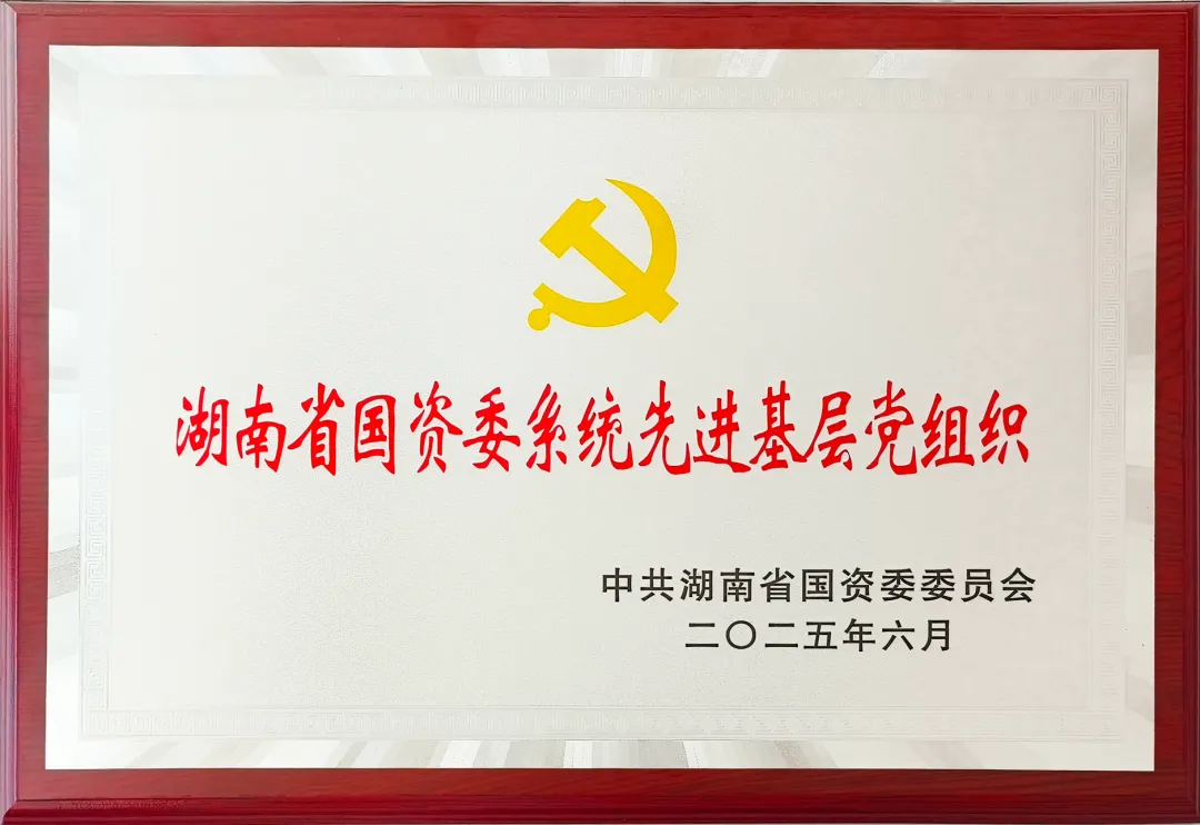 榜樣引領(lǐng)！他們榮獲湖南省國資委系統(tǒng)“兩優(yōu)一先”表彰