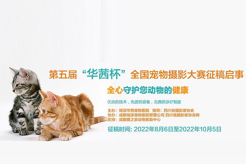 圖片名稱