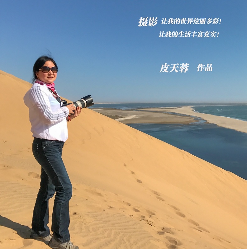 圖片名稱
