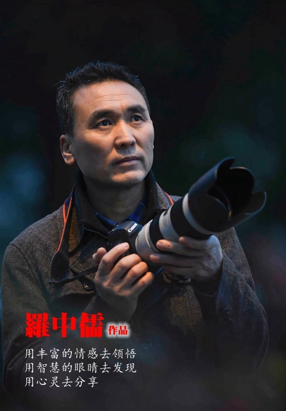 圖片名稱