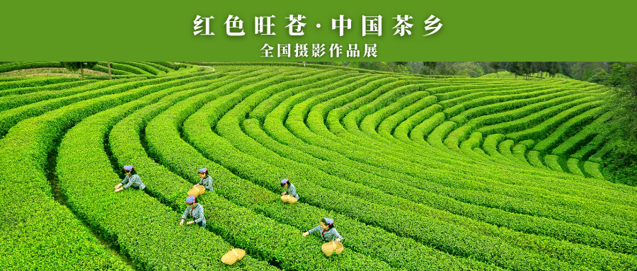 圖片名稱