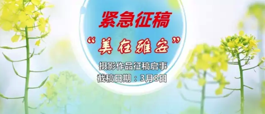 圖片名稱
