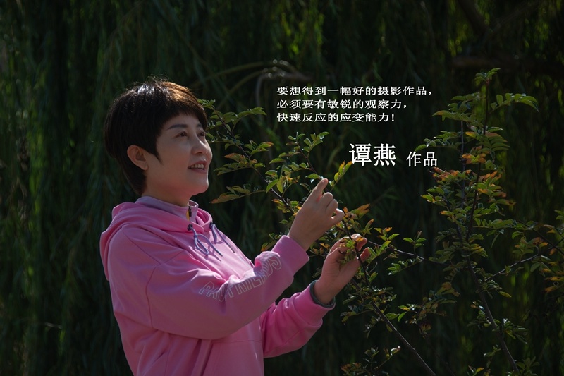 圖片名稱