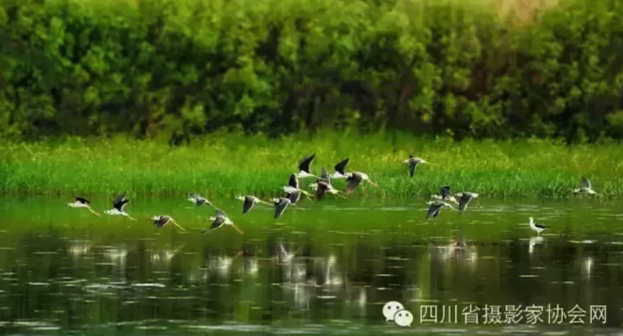 圖片名稱