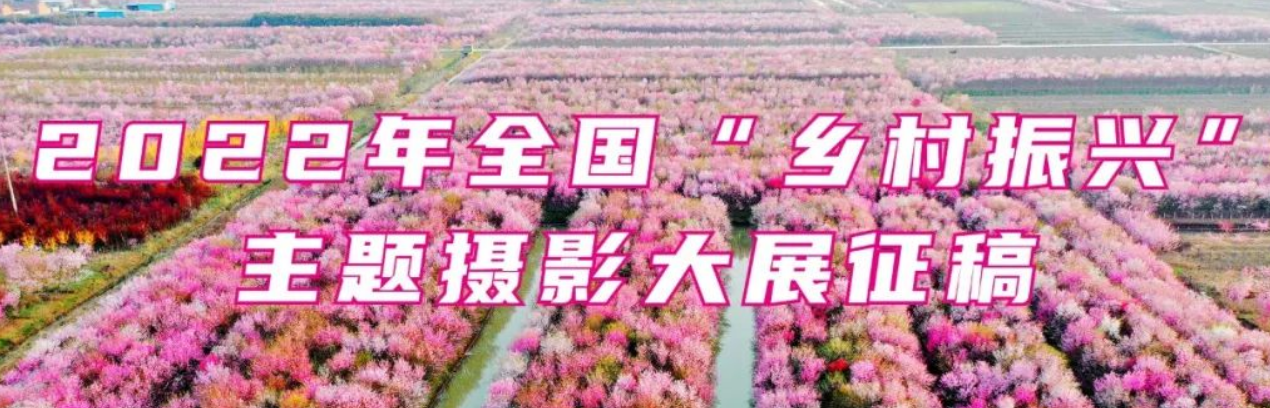 圖片名稱