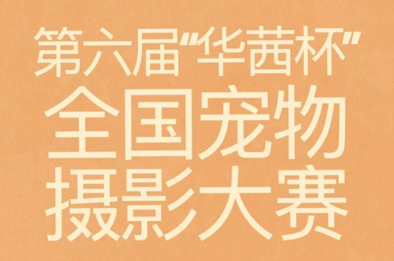 圖片名稱