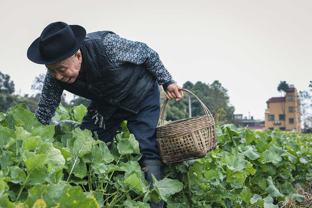 北京攝影函授學(xué)院四川分院第32期學(xué)員優(yōu)秀畢業(yè)作業(yè)作品（六）