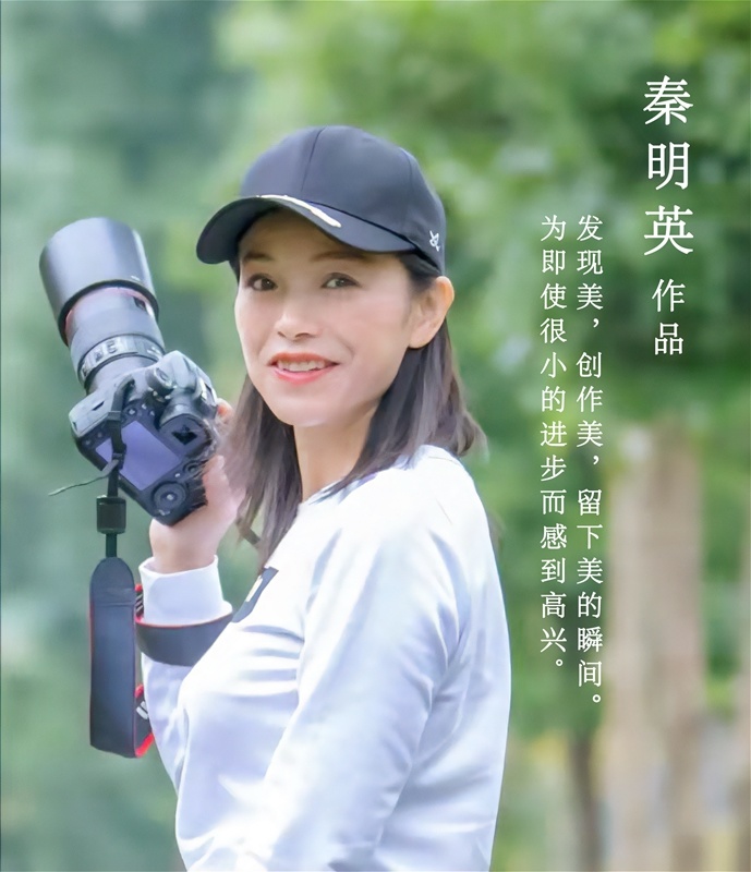 圖片名稱