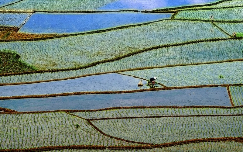 圖片名稱