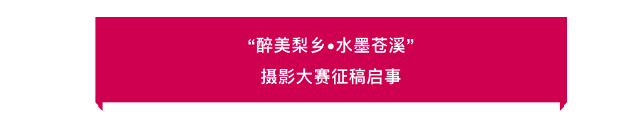 圖片名稱