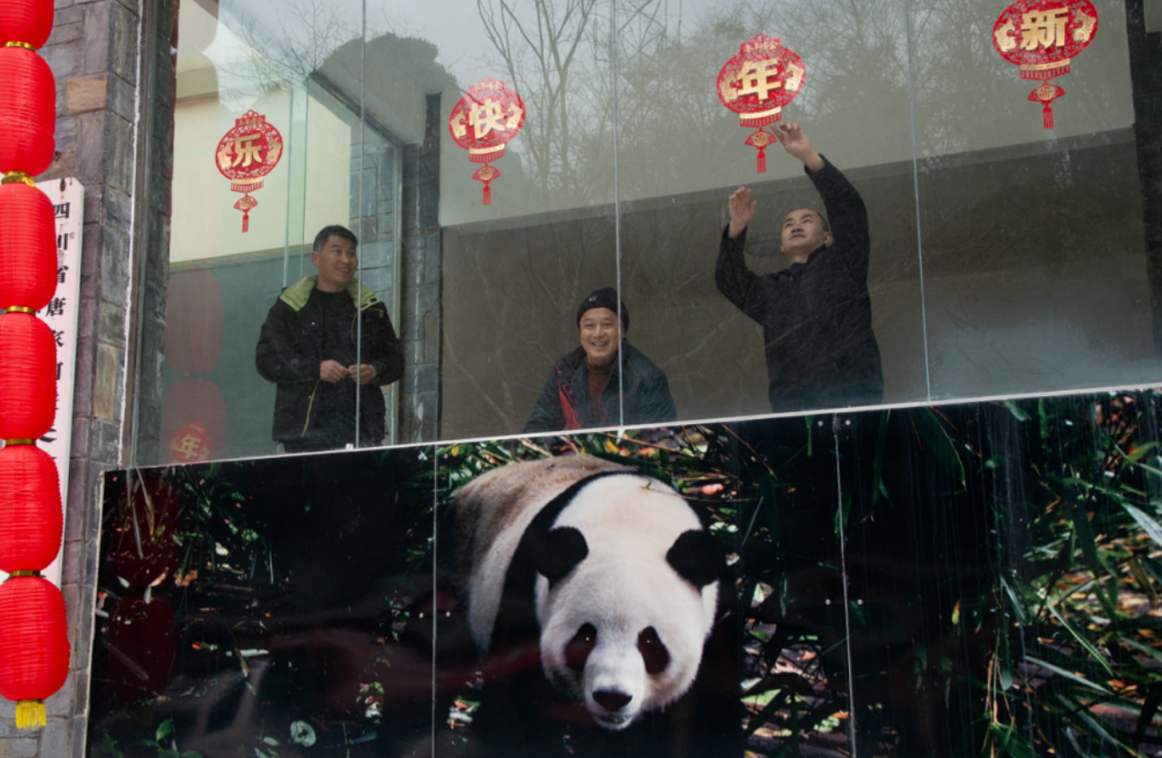 圖片名稱