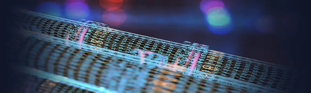 Fiber Optic Cages & Connectors